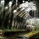 Illustration for article titled Photo manipulations offer realistic visions of life after the apocalypse
